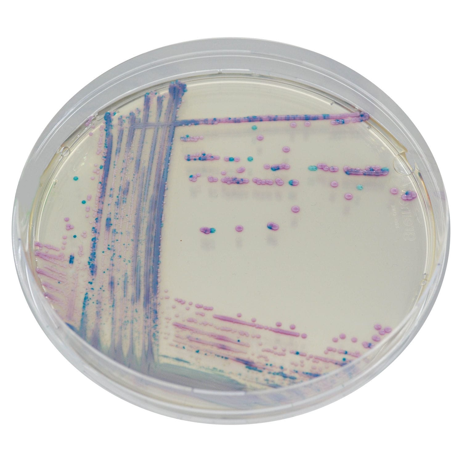 Medio Reactivo Cq Chromagar Para Microbiolog A De