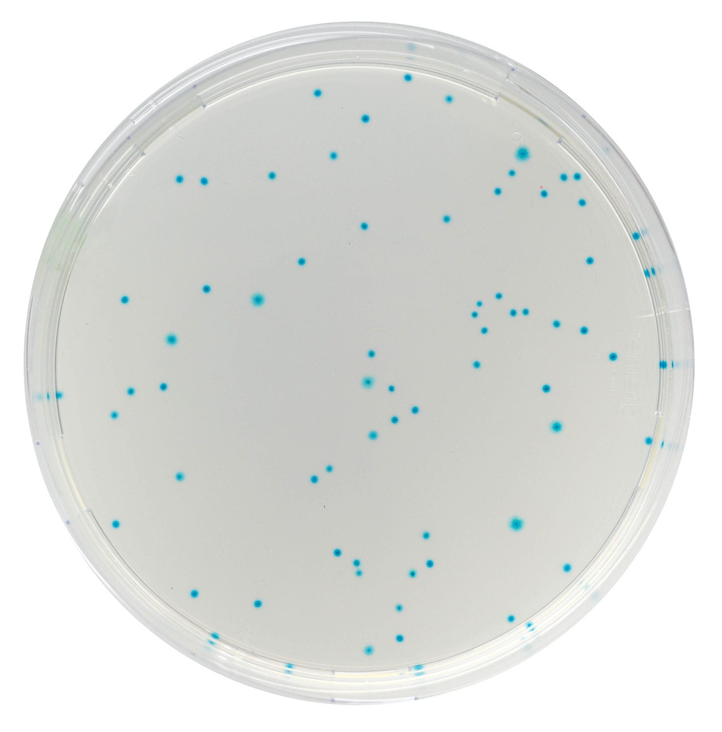 Medio Reactivo Ec Series Chromagar Para Microbiolog A De