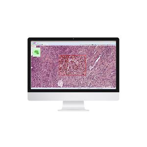 software de análisis de imágenes / de gestión / de visualización / de intercambio