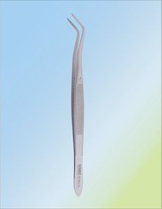 pinza dental de diagnóstico / curvada