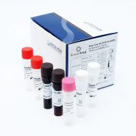 kit de prueba de gripe / del coronavirus causante del síndrome respiratorio de Oriente Medio / de influenza A / de influenza B