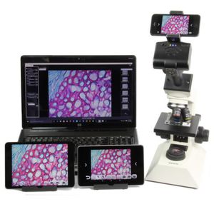 cámara para microscopio / digital / wifi / para iPhone®