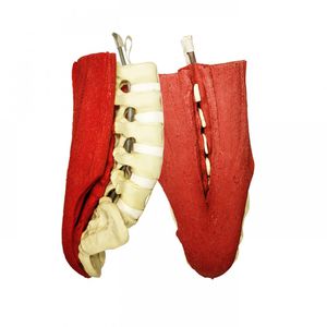 modelo anatómico lumbosacro / vértebra sacra / para cirugía mínimamente invasiva / flexible