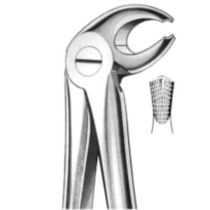 fórceps de extracción dental para molares inferiores