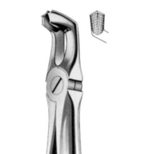 fórceps de extracción dental para molares inferiores
