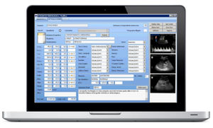 software de gestión de datos de pacientes / para informes / con sistema de seguimiento / para ginecología