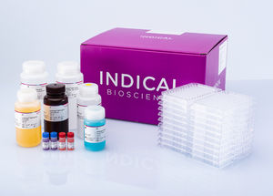 Kit De Prueba Para ADN ARN CD285023 INDICAL BIOSCIENCE Para