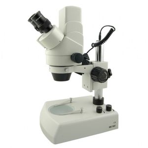 microscopio de laboratorio / digital / con cámara USB / con zoom