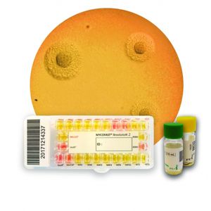 kit de prueba para prueba de susceptibilidad antibiótica / Mycoplasma / de Ureaplasma urealyticum / urogenital