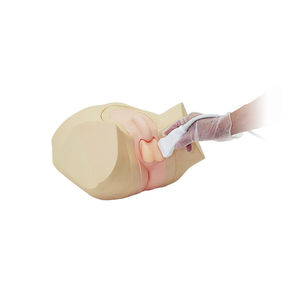 fantoma de prueba para ecografía / pelvis