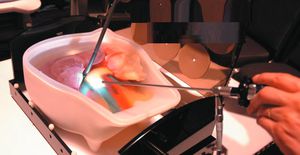 fantoma de prueba para ecoendoscopia / abdomen
