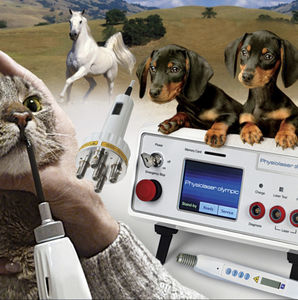 láser para acupuntura veterinaria / de diodo / de mesa
