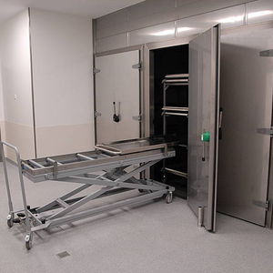 cámara mortuoria frigorífica para ataúdes / para varios cuerpos / de carga frontal / con carros de carga