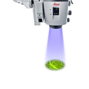 módulo de microscopio de fluorescencia / médico / óptico