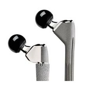 prótesis de cadera de revisión / no cementada / para artroplastia total de cadera
