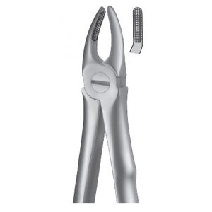 fórceps de extracción dental para premolares