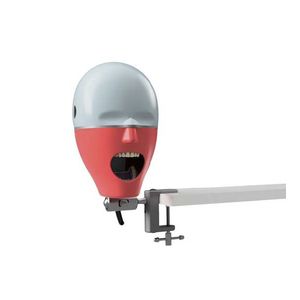maniquí de prácticas para odontología / cabeza
