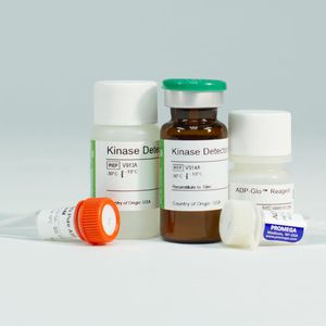 kit de prueba de investigación / de actividad biológica / de ATP / para enzimas