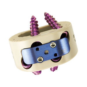 caja intersomática lumbar / vía anterior