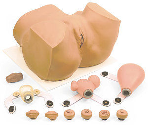 maniquí de prácticas para cuidados ginecológicos / pelvis