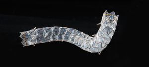 stent-injerto biliar / de metal