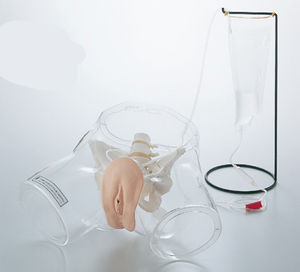 simulador de cateterismo urinario / femenino / pelvis