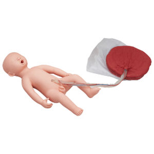 maniquí de prácticas para cuidados / fetal