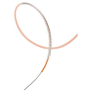 stent coronario / de cromo cobalto / de dilución medicamentosa