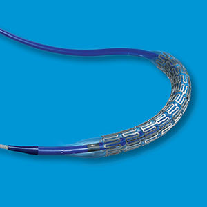 stent arteria renal / de cromo cobalto