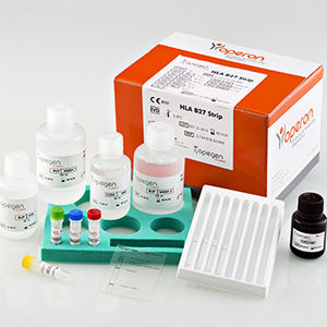 kit de prueba de enfermedades genéticas / de HLA-B27