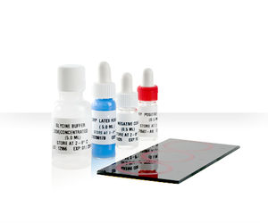 kit de prueba de ASO / de serología / de suero / de aglutinación en látex