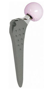 prótesis de cadera primera intención / no cementada / artroplastia total de cadera