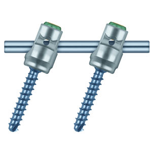 sistema de osteosíntesis cervicotorácico / vía posterior / para adulto
