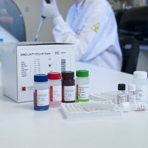 kit de prueba por inmunoanálisis LIA / de enfermermedades infecciosas / para antígenos / de HTLV-1