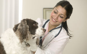 Medicina veterinaria