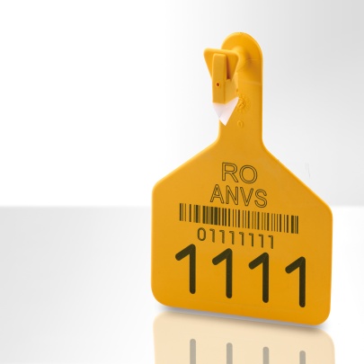 FOBA Laser Marking + Engraving, ALLTEC GmbH Photo 7