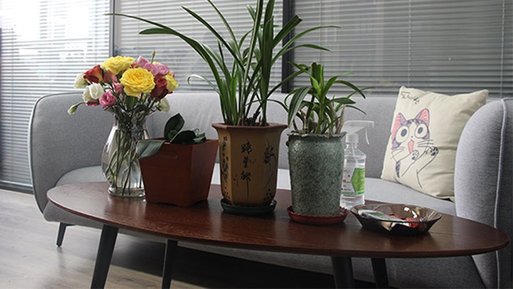Beijing OriginGene-Tech Biotechnology Co.,Ltd Photo 2