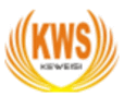 Nanjing Keweisi Medical Lighting - logo