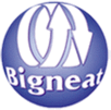 Bigneat - logo