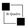 Bi Quadro - logo