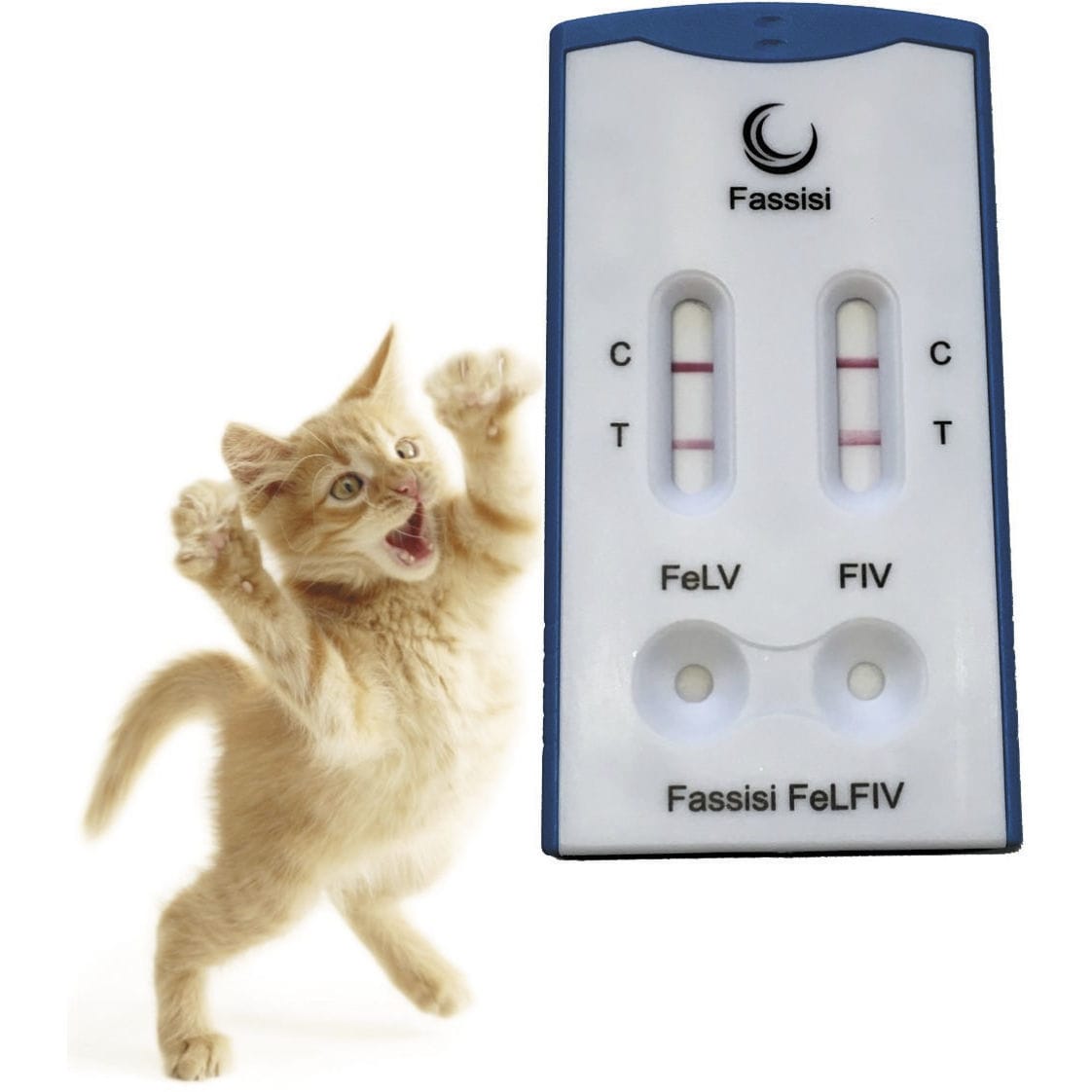 Prueba rápida de leucosis felina FELFIV Fassisi, Gesellschaft für Veterinärdiagnostik und