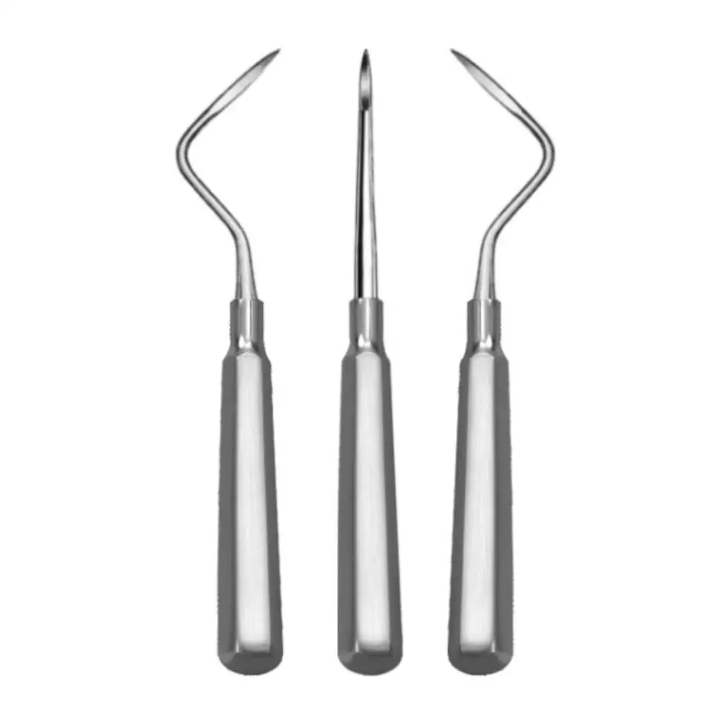 Punta De Raíz De Heidbrink Dental De Acero Francés Elige Elevadores Rectos