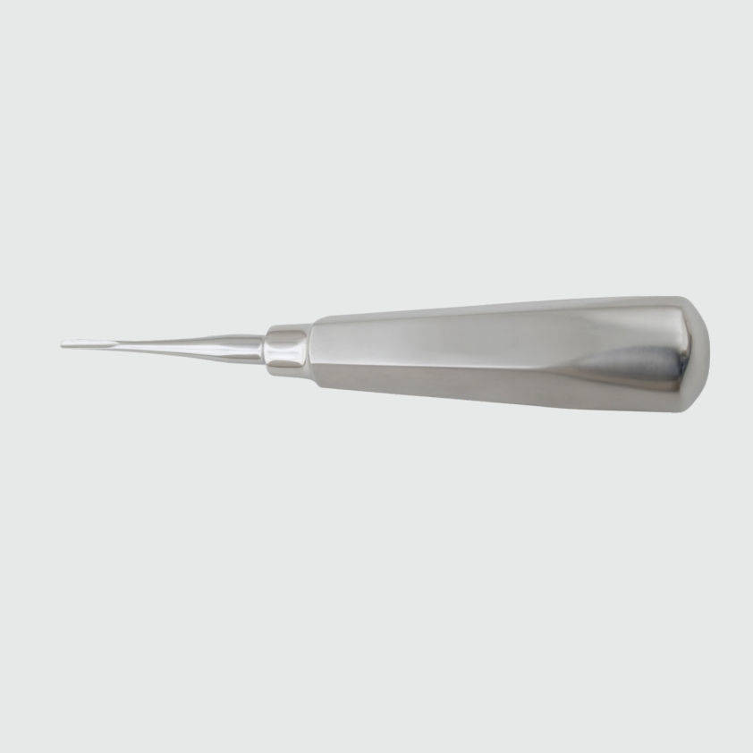 2 Levigatori Dentali Invernali 125 Mm - Strumento Chirurgico In Acciaio Inox Per Estrazioni Dentali - Margalla Int®