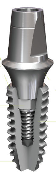 Impianto Dentale Cilindrico - PRAMA - Sweden & Martina - Conico / In - Foto 8