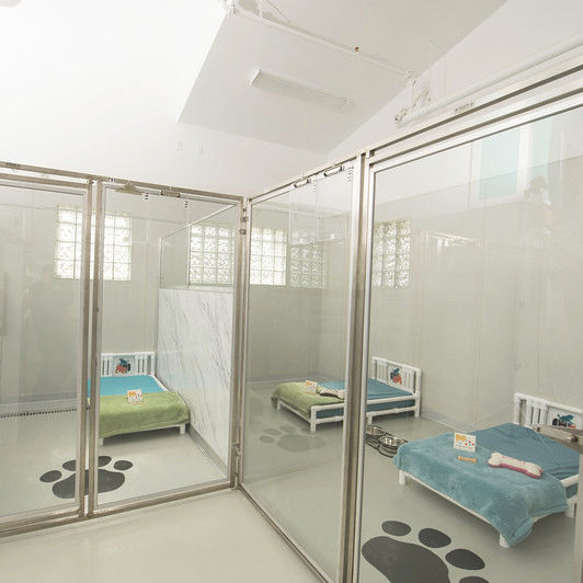 dấu hiệu pet hotel uy tín