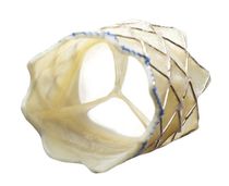Bioprótesis valvular pulmonar / de tejido...