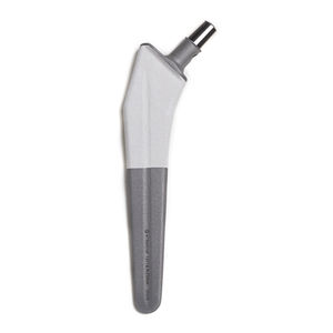 vástago femoral no cementado 1