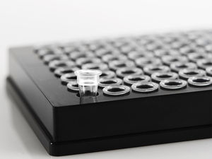 microplaca para PCR 1