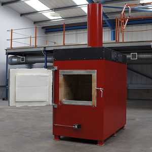 incinerador crematorio / de esterilización / de laboratorio / bacteriológico