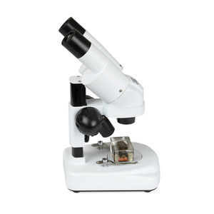 estereomicroscopio óptico